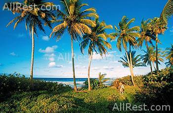 Breezes Puerto Plata 22